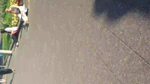 13036